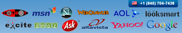  Online Banner Advertising Service